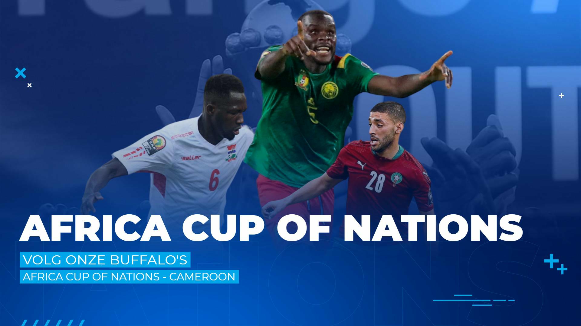 Buffalo's op de Africa Cup