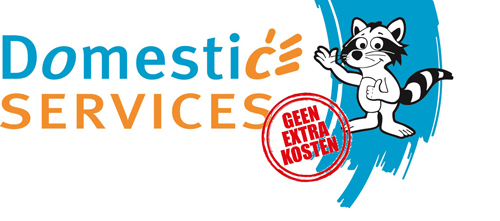 Domestic Services
