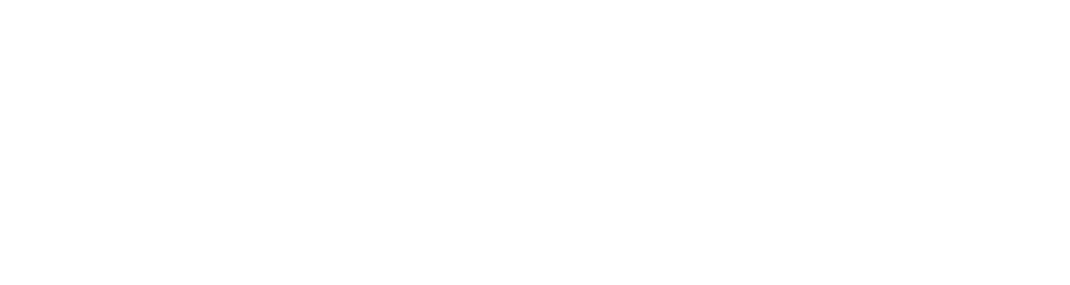 Hamann International Logistics